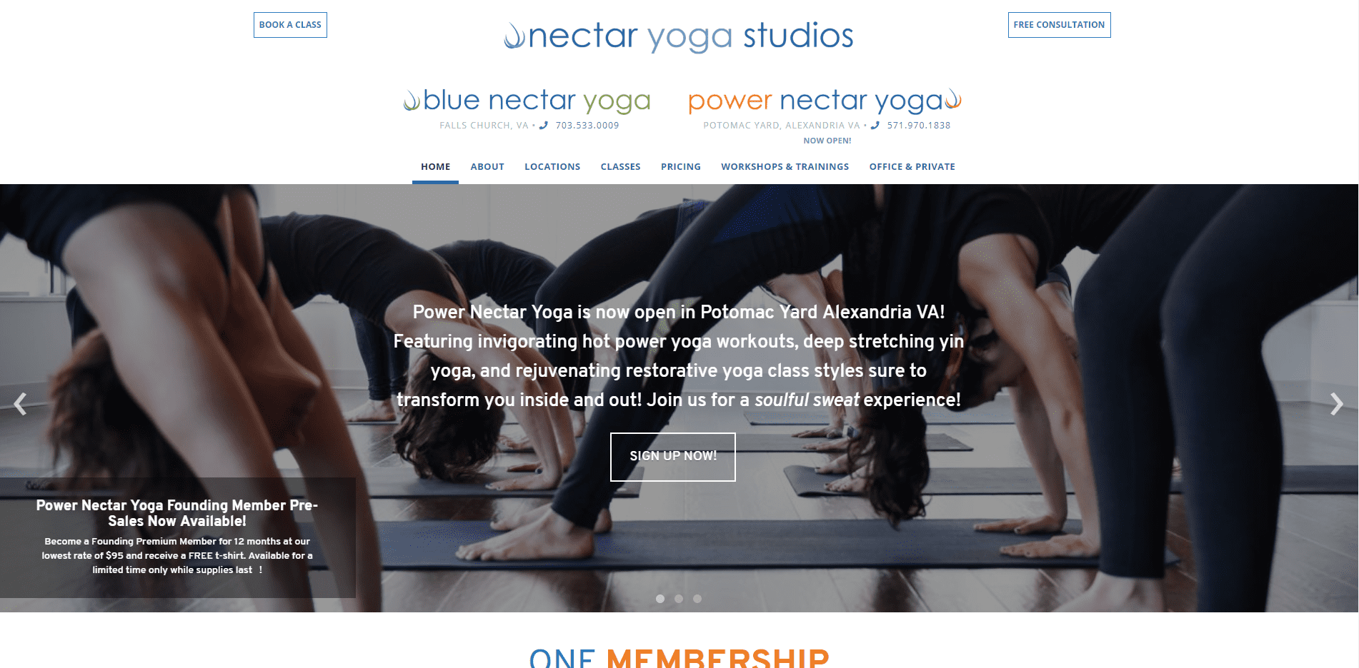 Blue nectar yoga